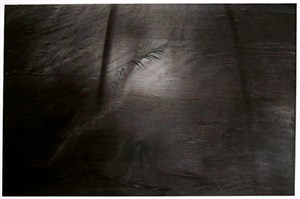 Image description is not available for 1996.033